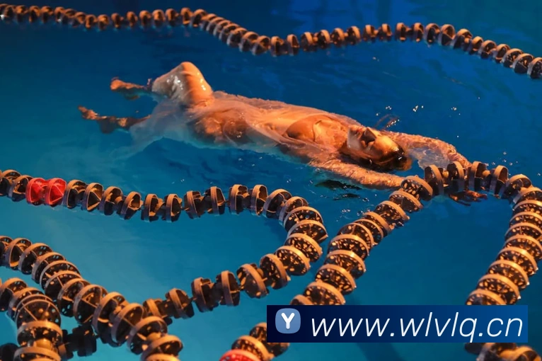 App Interface Preview